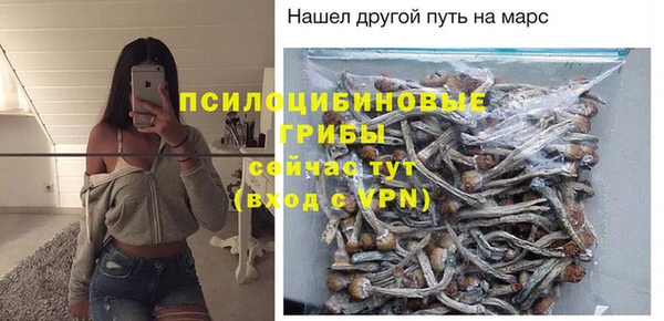 синтетический гашиш Коряжма