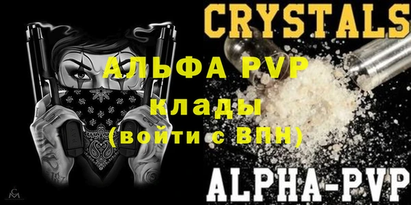 ECSTASY Костерёво