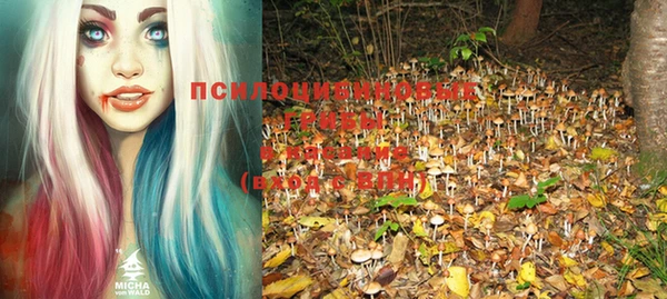 синтетический гашиш Коряжма