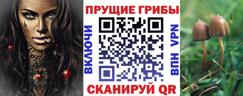 Галлюциногенные грибы MAGIC MUSHROOMS  Купить закладки  Бирск 